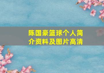 陈国豪篮球个人简介资料及图片高清