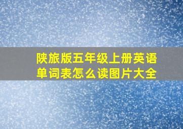 陕旅版五年级上册英语单词表怎么读图片大全