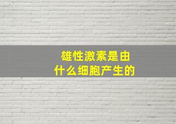 雄性激素是由什么细胞产生的