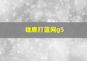 雄鹿打篮网g5