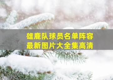 雄鹿队球员名单阵容最新图片大全集高清