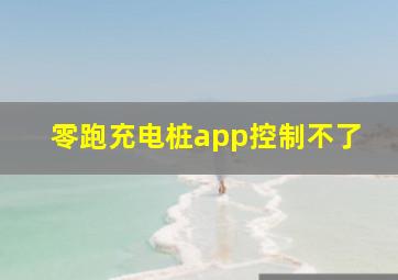 零跑充电桩app控制不了