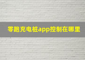 零跑充电桩app控制在哪里