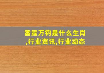 雷霆万钧是什么生肖,行业资讯,行业动态