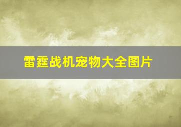 雷霆战机宠物大全图片