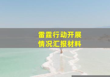 雷霆行动开展情况汇报材料