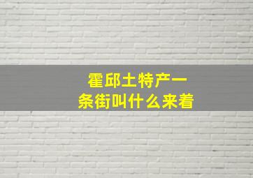 霍邱土特产一条街叫什么来着