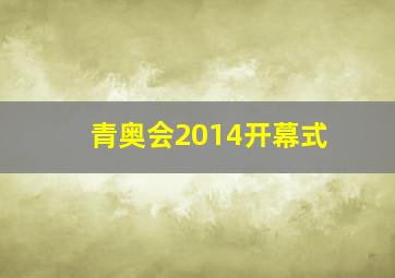 青奥会2014开幕式