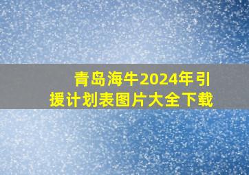 青岛海牛2024年引援计划表图片大全下载