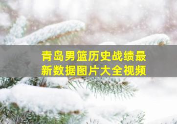 青岛男篮历史战绩最新数据图片大全视频