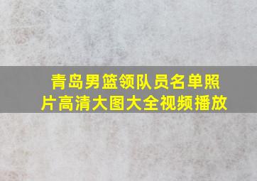 青岛男篮领队员名单照片高清大图大全视频播放