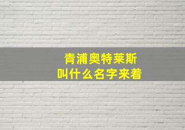 青浦奥特莱斯叫什么名字来着