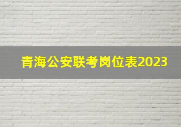 青海公安联考岗位表2023