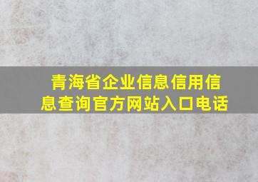 青海省企业信息信用信息查询官方网站入口电话