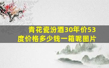 青花瓷汾酒30年价53度价格多少钱一箱呢图片