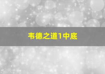 韦德之道1中底