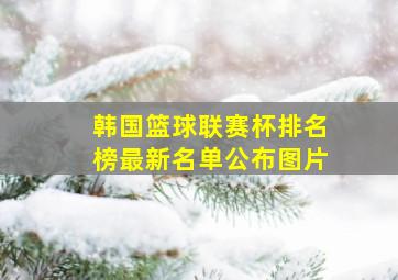 韩国篮球联赛杯排名榜最新名单公布图片