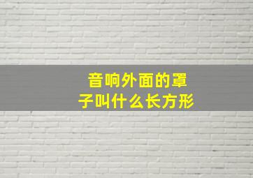 音响外面的罩子叫什么长方形