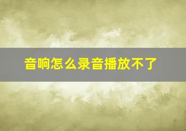 音响怎么录音播放不了