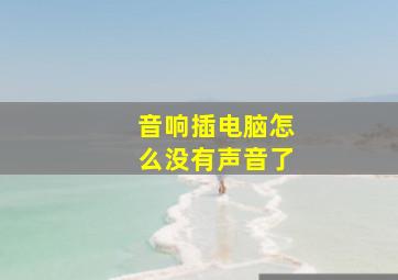 音响插电脑怎么没有声音了