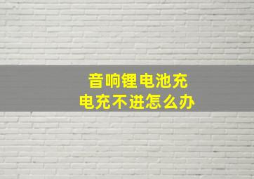 音响锂电池充电充不进怎么办