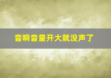 音响音量开大就没声了