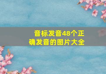 音标发音48个正确发音的图片大全