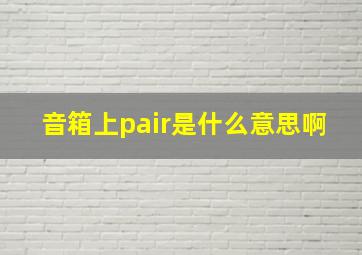 音箱上pair是什么意思啊