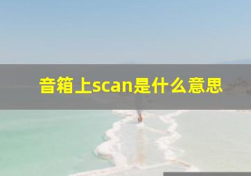 音箱上scan是什么意思