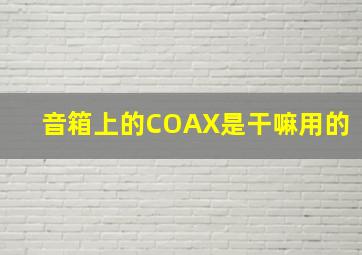 音箱上的COAX是干嘛用的