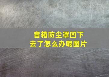 音箱防尘罩凹下去了怎么办呢图片