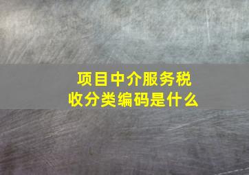 项目中介服务税收分类编码是什么