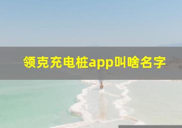 领克充电桩app叫啥名字