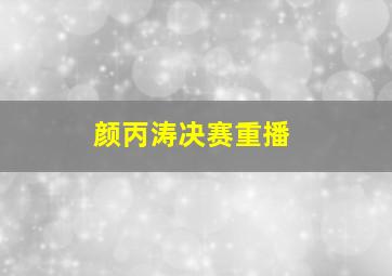 颜丙涛决赛重播