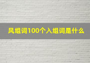 风组词100个入组词是什么