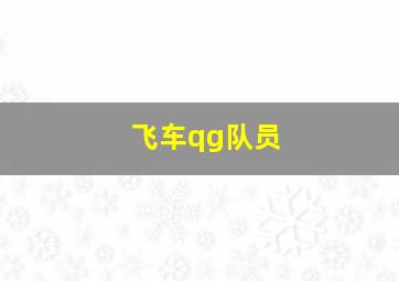 飞车qg队员