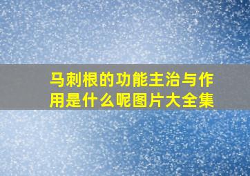 马刺根的功能主治与作用是什么呢图片大全集