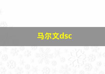 马尔文dsc