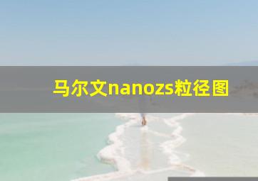 马尔文nanozs粒径图