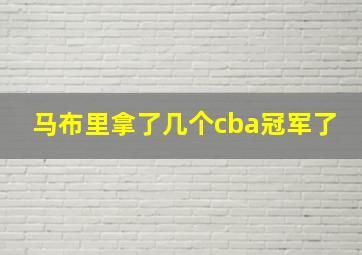 马布里拿了几个cba冠军了