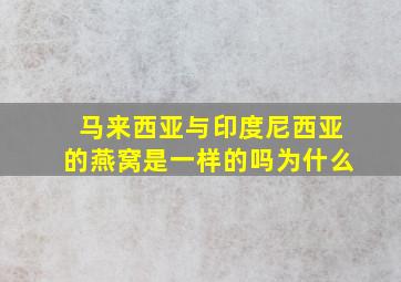 马来西亚与印度尼西亚的燕窝是一样的吗为什么