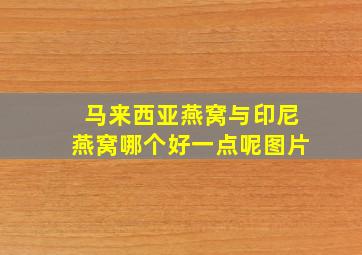 马来西亚燕窝与印尼燕窝哪个好一点呢图片