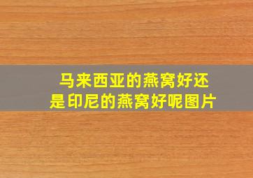 马来西亚的燕窝好还是印尼的燕窝好呢图片