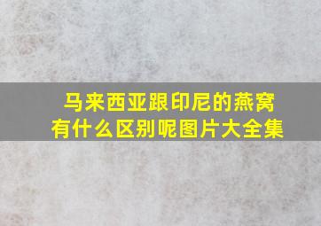 马来西亚跟印尼的燕窝有什么区别呢图片大全集