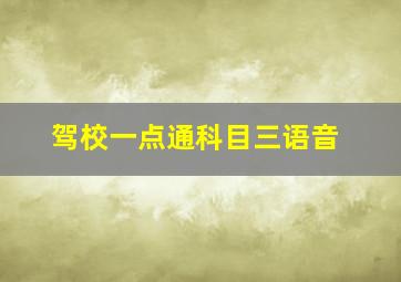 驾校一点通科目三语音