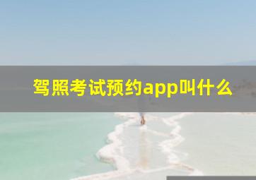 驾照考试预约app叫什么