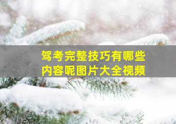 驾考完整技巧有哪些内容呢图片大全视频