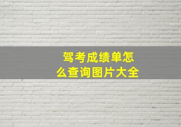 驾考成绩单怎么查询图片大全