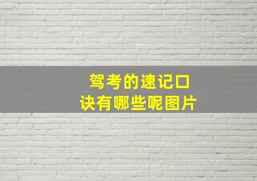 驾考的速记口诀有哪些呢图片