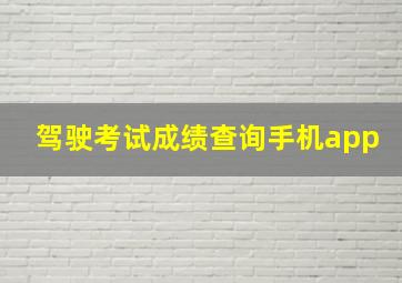 驾驶考试成绩查询手机app